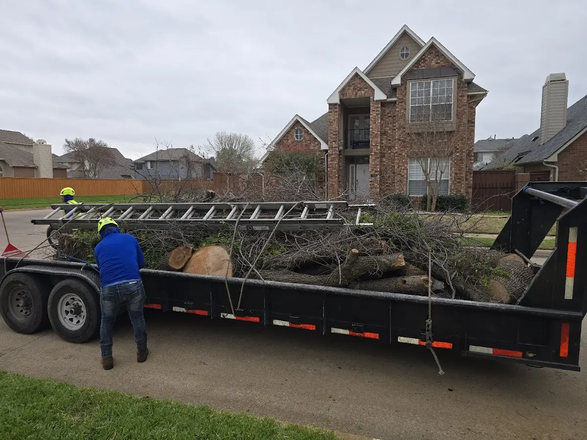 Expert Tree Fertilization with proper safety equipment in Sierra Vista